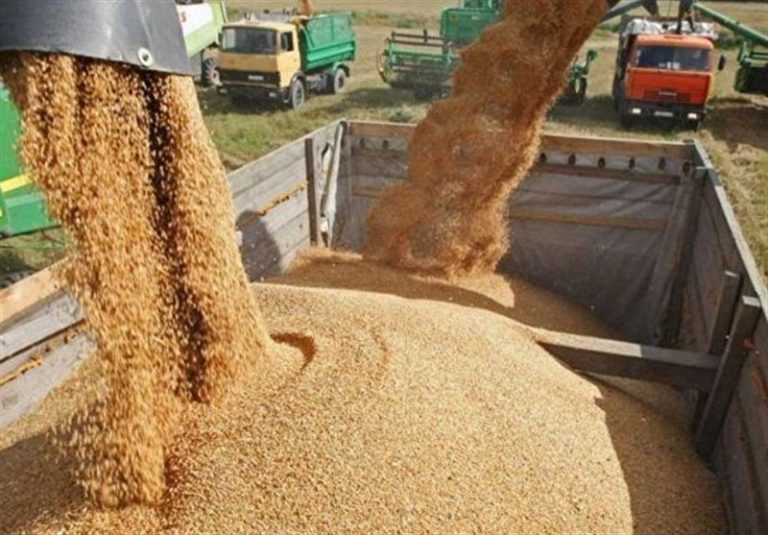 پیگیری علل فاسد شدن ۶ هزار تن از نهادههای دامی توسط مجلس