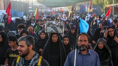 گزارش خبرنگار برگزیده های ایران از مسیر پیاده‌روی نجف به کربلا/ روایتی از حال خوش زائران در مشایه + فیلم