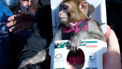 اوج‌گیری ایران در حوزه “زیست فضا” با پرتاب دومین میمون فضانورد + عکس و فیلم