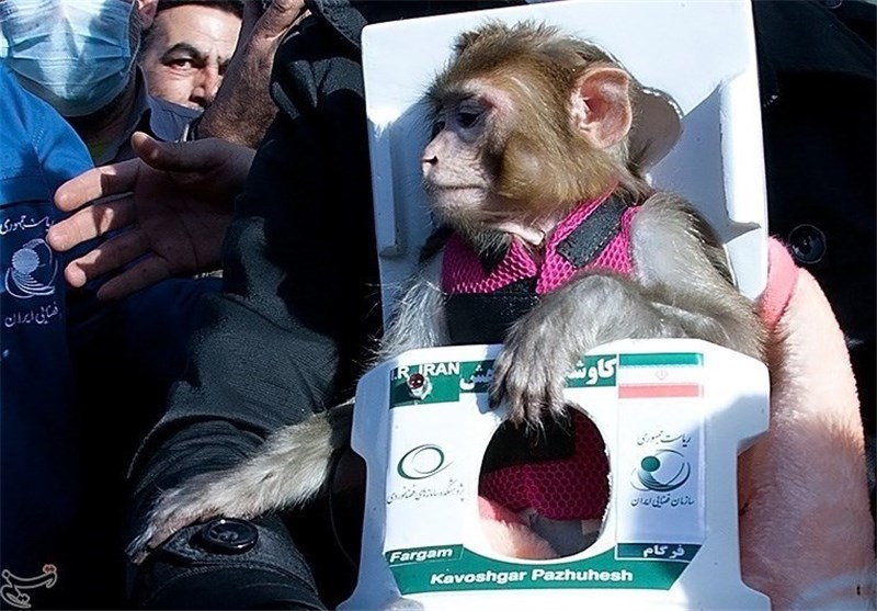 اوجگیری ایران در حوزه “زیست فضا” با پرتاب دومین میمون فضانورد + عکس و فیلم