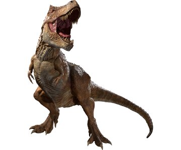 این پرنده یک دایناسور زندهاست!/ عکس