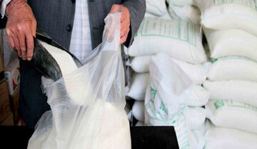 توزیع برنج و شکر تنظیم بازار در قزوین