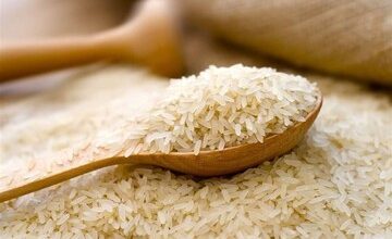 توزیع برنج ۳۵ هزار تومانی در بازار/ قیمت انواع برنج ایرانی و خارجی اعلام شد