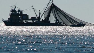 توقیف شناور صید ترال در آب‌های جزیره کیش/ ۶ متهم دستگیر شد