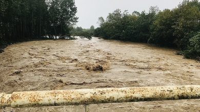 خدمت رسانی دانشجویان جهادی دانشگاه امام صادق(ع) به سیل زدگان آستارا