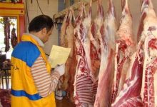 در بازار گوشت چه خبر است؟ / پیمان‌پاک: واردات تا ثبات بازار ادامه دارد