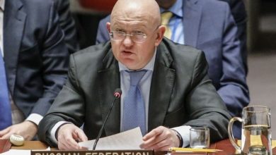 شورای امنیت پیش نویس قطعنامه روسیه درباره غزه را تصویب نکرد