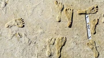 قدیمی‌ترین ردپای انسان در آمریکا/ اولین انسان چه زمانی به قاره جدید رسید؟/ عکس