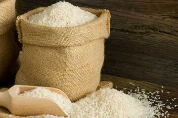 قیمت برنج ایرانی در بازار را ببینید / هاشمی درجه یک کیلویی چند؟ + جدول قیمت