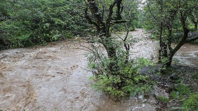 هشدار وقوع سیلاب و طغیان رودخانه‌ها در تهران/ ممنوعیت تردد در حاشیه رودخانه‌ها