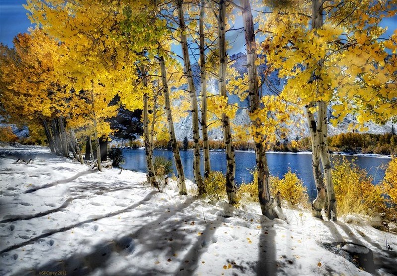 هواشناسی ایران ۱۴۰۲/۰۸/۰۸؛ هشدار بارش باران و برف در ۲۳ استان