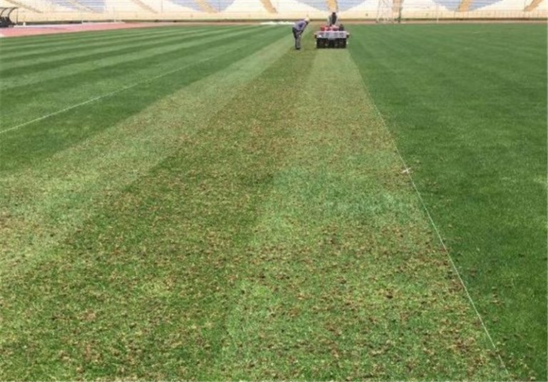 ورود دادستانی تهران به ماجرای آلوده بودن چمن ورزشگاه آزادی/ نمونهبرداری انجام شد + فیلم
