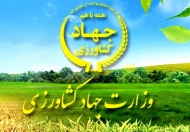 وزارت کشاورزی مکلف به تهیه برنامه الگوی کشت محصولات کشاورزی شد