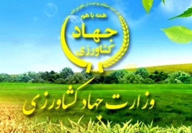 وزارت کشاورزی مکلف به تهیه برنامه الگوی کشت محصولات کشاورزی شد