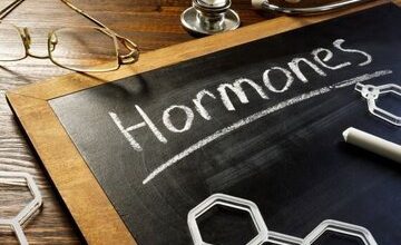چند ماده غذایی مفید برای حفظ تعادل هورمون‌ها