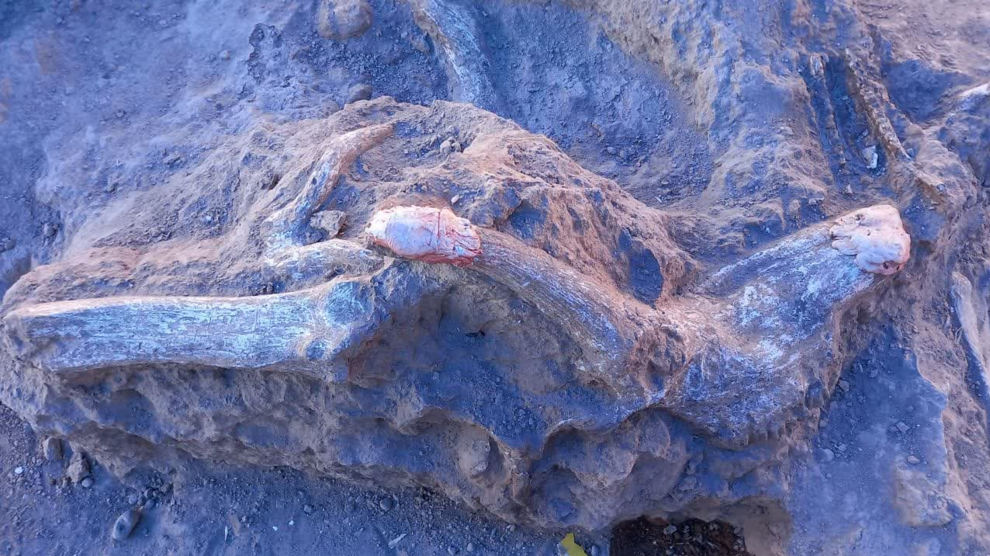 کشفی گرانبها در مراغه!/ عکس