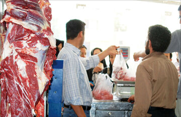 گوشت قرمز ارزان شد ؛ از این مغازه ها خرید کنید | جدیدترین قیمت گوشت گوسفندی و گوساله