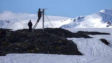 ایران به‌دنبال تأسیس پایگاه تحقیقاتی در قطب جنوب/ وجود منابع معدنی ارزشمند در جنوبگان