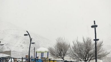 بارش برف به نزدیک پایتخت رسید/ “دماوند، فیروزکوه و شمیرانات” سفیدپوش شد + فیلم و تصاویر