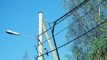 تبدیل شبکه برق روستای کانیان شهرستان سلماس عاری به کابل‌های خودنگهدار