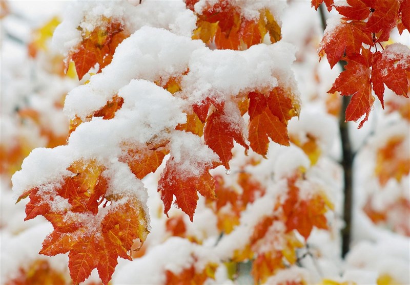 سامانه بارشی جدید فردا وارد کشور میشود