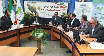عملیاتی شدن ۹۰هزار هکتار فضای سبز در شهرک ها، نواحی صنعتی و منطقه ویژه اقتصادی استان سمنان