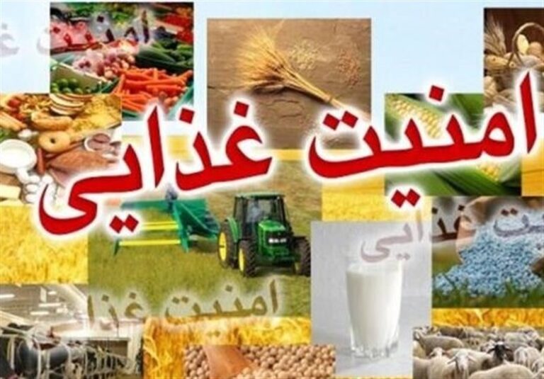 فردا یارانه نقدی تا سقف یک میلیون تومان به حساب برخی سرپرستان خانوار واریز میشود