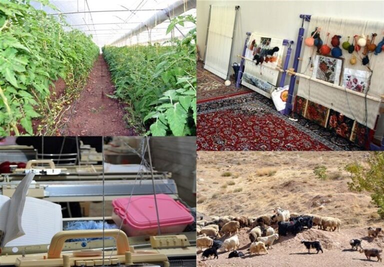 مصوبه مجلس در زمینه ایجاد اشتغال در مناطق روستایی /منابع مالی حمایت از اشتغال در سال آینده مشخص شد