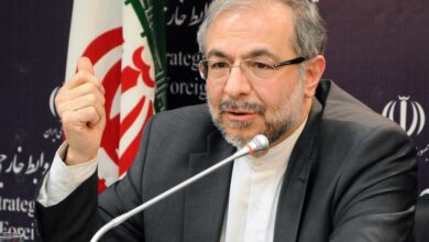 موسوی: بیانیه وزارت خارجه نقطه پایان تنش ایجاد شده بین ایران و پاکستان است