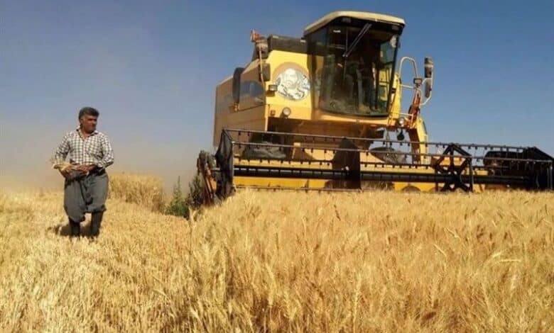 وزارت جهاد در تعیین نرخ خرید گندم حفظ تعادل در تولید سایر محصولات استراژیک را در نظر گرفت