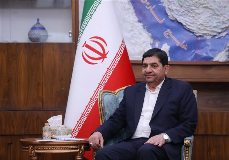 وزیر امور خارجه آفریقای جنوبی با معاون اول رئیسجمهور دیدار کرد