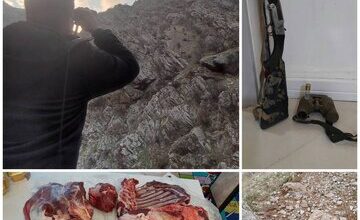 ۲۴۵ متخلف شکار و صید در مناطق تحت مدیریت و مناطق آزاد استان کردستان دستگیر و تحویل مراجع قضایی شدند
