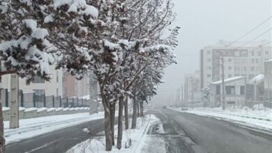 بارش برف سنگین در شمال شرق پایتخت/ تردد بدون زنجیر چرخ در محورهای مواصلاتی شرق استان ممکن نیست + فیلم و تصاویر