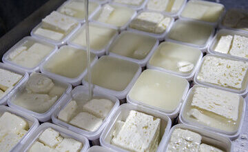 پنیر لیقوان و تبریز در میادین کیلویی چند؟ / قیمت انواع پنیر محلی و بسته بندی را ببینید