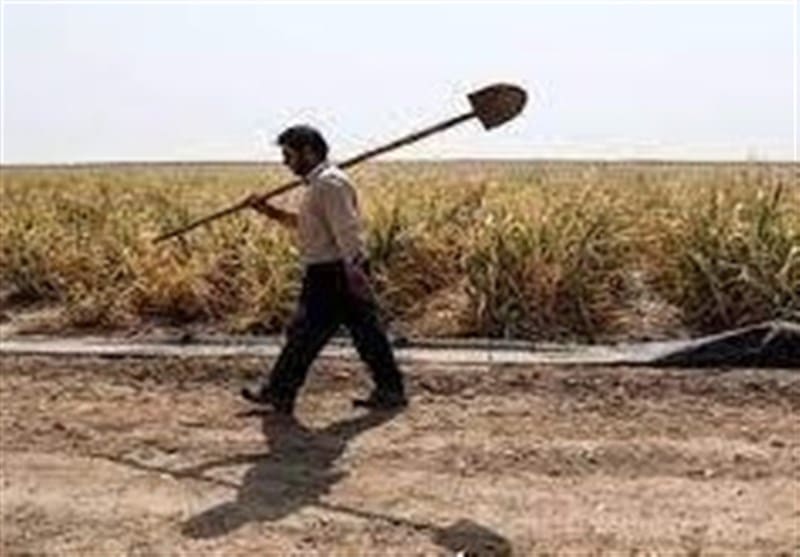 امسال قطعی برق برای کشاورزان نخواهیم داشت