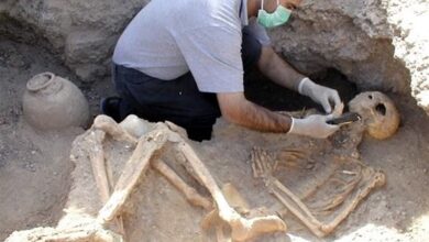 برای نخستین بار در ایران؛ باستان‌شناسی در خدمت پلیس آگاهی