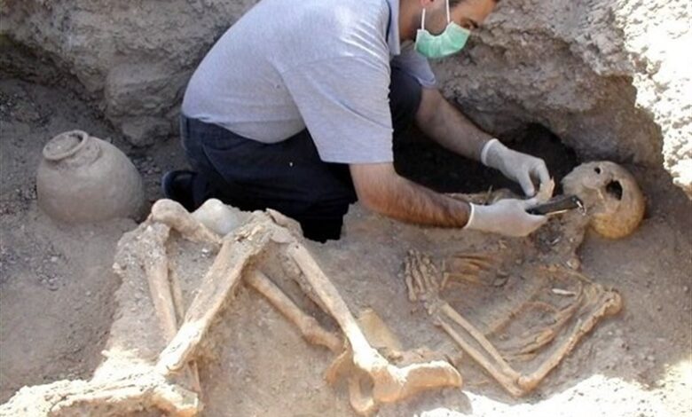 برای نخستین بار در ایران؛ باستان‌شناسی در خدمت پلیس آگاهی