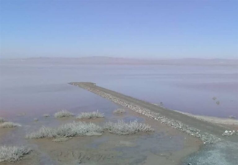 تالاب کجی نمکزار نهبندان ۳۰ درصد آبگیری شد