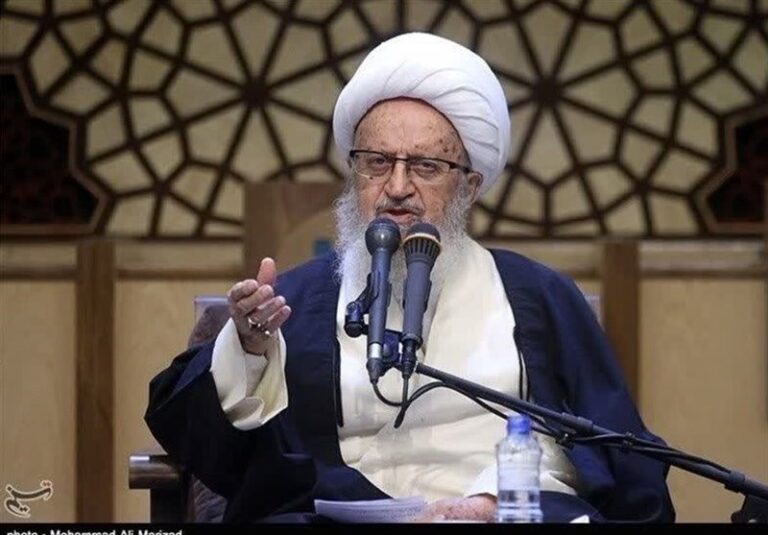 تقدیر آیتالله مکارمشیرازی از اقدامات فراجا در مسئله حجاب