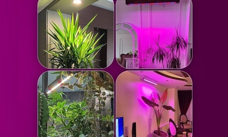 جایگزینی نورهای مصنوعی رشد گیاه به جای نور خورشید