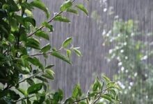 افزایش ۱۴ درصد بارندگی در آذربایجان‌غربی نسبت به میانگین بلندمدت