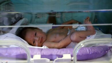 امید تازه برای مادر شدن با کمک نانوذرات