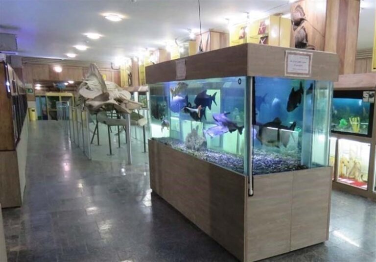 تعطیلی موزهها در روز چهارشنبه