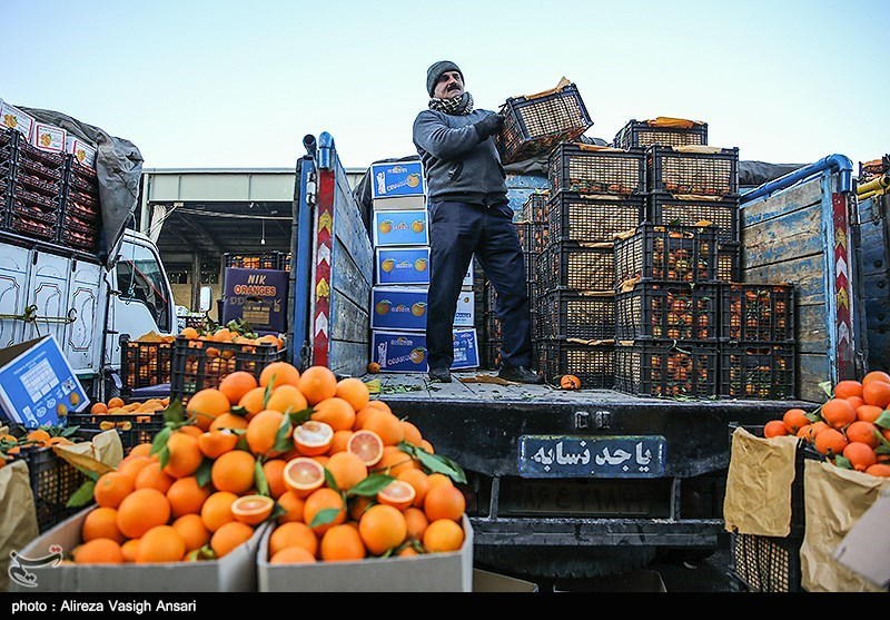 توزیع کالاهای اساسی بدون محدودیت در میادین میوه و ترهبار