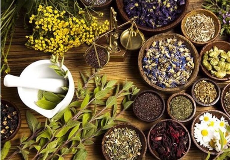 تولید انبوه “داروی درمان کبد چرب و لاغری” توسط بخش خصوصی