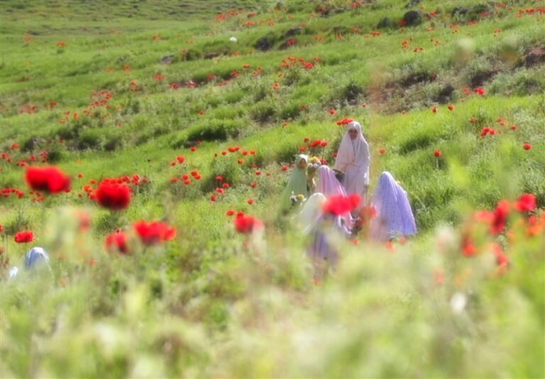 حجاب فقط به معنای پوشش نیست