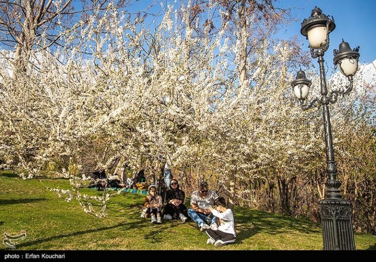 دهکده فرهنگی بسیج دانشآموزی در پارکهای بانوان ایجاد میشود