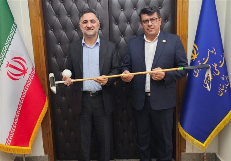 دیدار رئیس فدراسیون چوگان با معاون رئیس جمهور