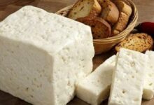 زیاد پنیر نخورید، بدنتان فرسوده می‌شود/ ۴ عارضه جانبی مصرف بیش از حد پنیر