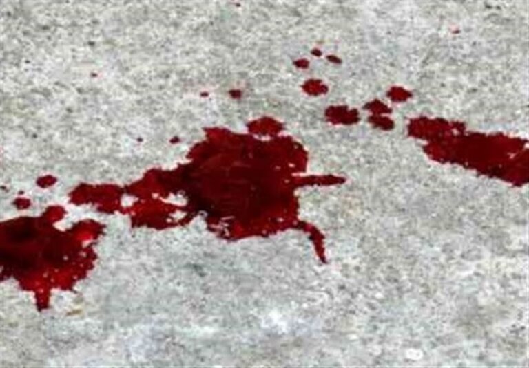 قتل دایی و خاله بهخاطر تقسیم ارثیه میلیاردی با ضربات سنگ